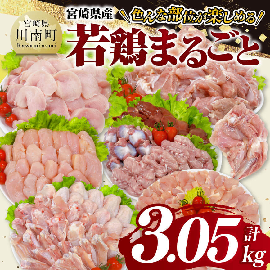 宮崎県産若鶏　まるごと3.05kg　肉 鶏肉 [C11623]