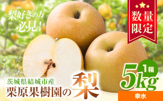 【先行予約】栗原果樹園 梨 5kg  幸水 《8月上旬-8月中旬頃出荷予定》茨城県 結城市 なし 梨 フルーツ 旬 果物 【配送不可地域あり】