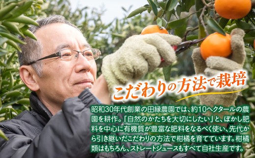 【愛媛県産】田縁農園の無添加100% かんぺい・紅まどんなジュース各3本セット（720ml×6本/かんぺい3、紅まどんな3） ストレート果汁100％【 ふるさと納税 人気 おすすめ ランキング ジュー