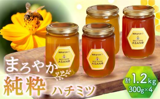 純粋ハチミツ 4種セット (アカシア 山桜 ソヨゴ 野山の花 300g×各1) 瑞浪市 / honey shop Bee farm asano 蜂蜜 はちみつ 蜂蜜 はちみつ [AZBT015]