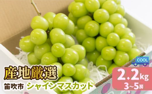 【2026年発送★先行予約】産地厳選シャインマスカット2.2kg（3房～5房）106-004-26y | シャインマスカット 山梨 発送 ぶどう 斎庵 笛吹市 山梨県 フルーツ 果物 葡萄 シャインマスカット 発送 おすすめ 贈答 2026 シャインマスカット 山梨 山梨県笛吹市 産地 期間限定 笛吹市 笛吹 国産 人気 新鮮 種なし 高級 くだもの  完熟 ブドウ 発送