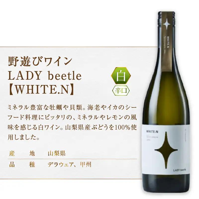 ワイン フジクレール 野遊びワイン LADY beetle【WHITE.N】【ROSE SP Sparkling】【ORANGE.N】3本セット（MG）D5-634
