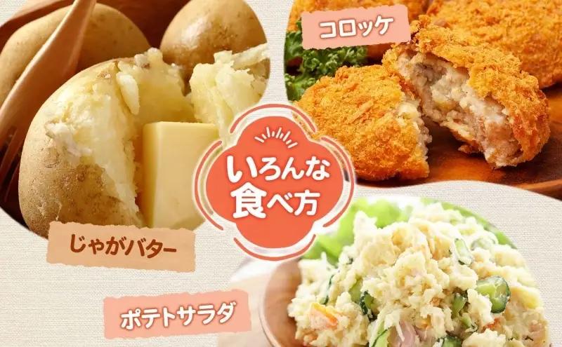＜2026年秋以降出荷＞ 北海道 じゃがいも 男爵 M～L 約17kg ジャガイモ 馬鈴薯 だんしゃく 芋 いも イモ ポテト 常備 野菜 根菜 農作物 お取り寄せ 産地直送 北海道産 畑農場 送料無