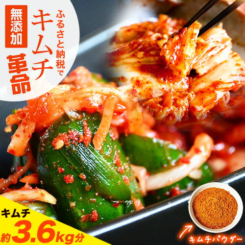 【ふるさと納税】キムチ革命 キムチの素 選べる 1セット 3セット 6袋入り 樽の味《30日以内に出荷予定(土日祝除く)》 和歌山県 日高川町 キムチ 素 キムチの素 漬物 唐辛子 簡単 手作り 無添加