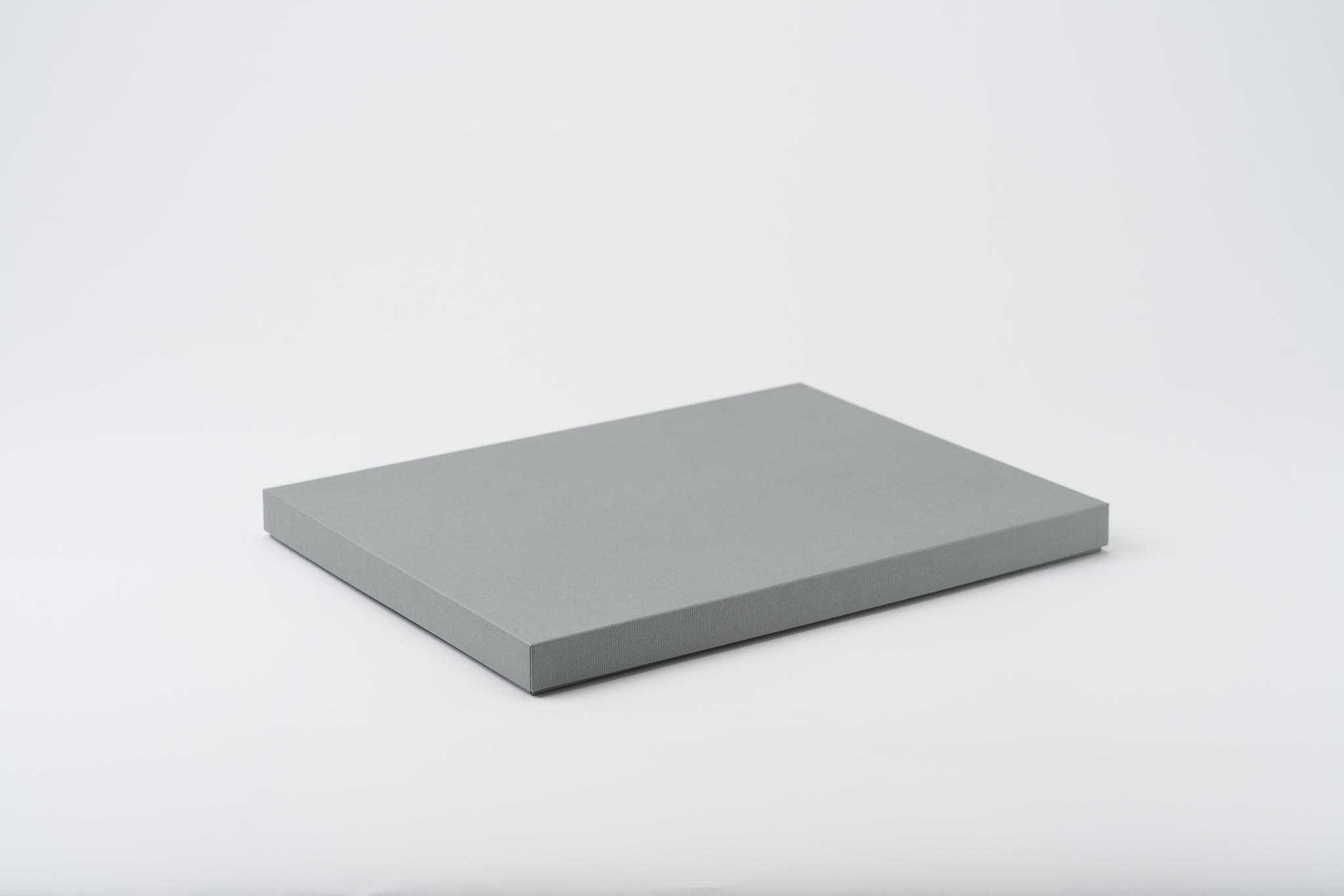 【木と暮らしの工房】シラカバ・トレー　＜サイズ：L／カラー：Green（緑）＞