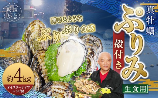 生食用 真牡蠣「ぷりみ」約4kg