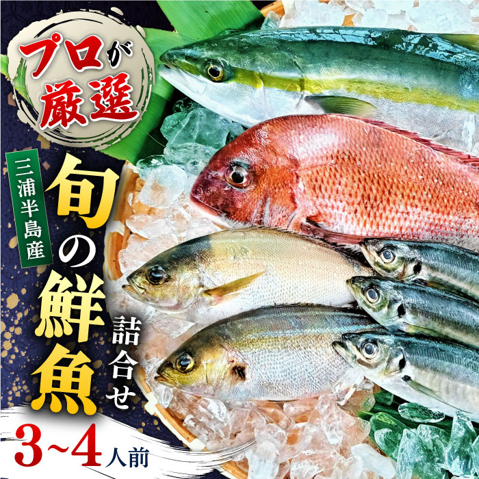 魚 旬のおまかせ 鮮魚 厳選詰め合わせセット 3～4人前(2～３魚種) 【長井水産株式会社】 [AKAJ002]