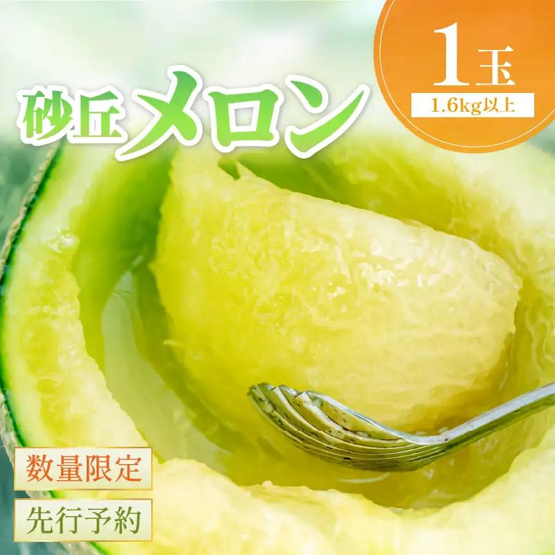 メロン／砂丘メロン 2L以上 1玉