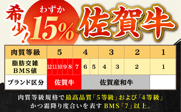 【全12回定期便】佐賀牛 焼肉 切り落とし 500g 【田中畜産牛肉店】 佐賀牛 牛肉 精肉 肉 切り落とし [HBH156]