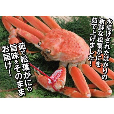 ふるさと納税 鳥取市 鳥取県産 訳あり茹で松葉がに【中村商店】 |  | 01