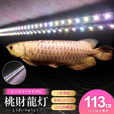 ふるさと納税 小牧市 金龍の鱗を美しく照らす!ピンクゴールドの水中アロワナライト|PG120-EX[172C16]