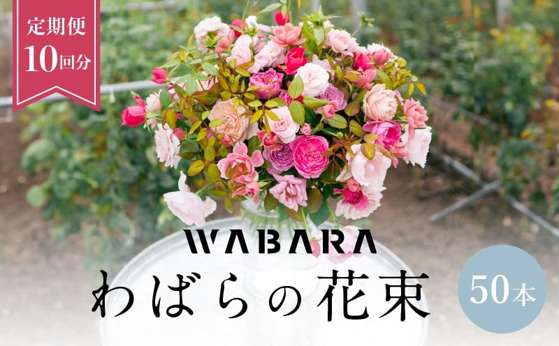 
            わばら花束50本定期便　１０回分　 WABARA  摘みたて ブーケ 花束 Rose Universe
          