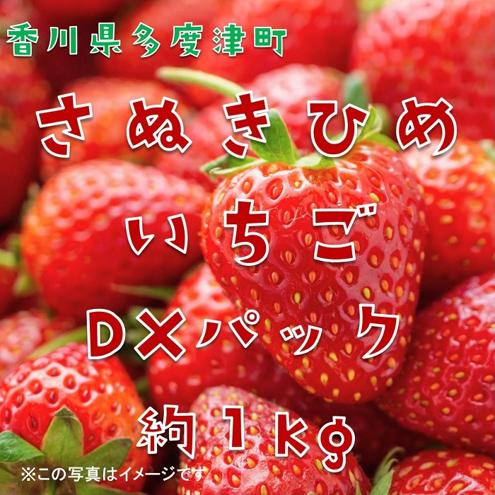 
                  さぬきひめいちご 約1kgDXパック【予約受付中：令和8年12月より発送】【B-48】
                