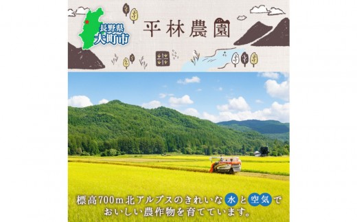 とうもろこし イエロー ＆ ホワイト 食べ比べ 400g以上 各5本 計10本 ゴールドラッシュ ピュアホワイト コーン 玉蜀黍 農家直送 産直 信州 人気 お取り寄せ 平林農園 送料無料 長野県 大町市