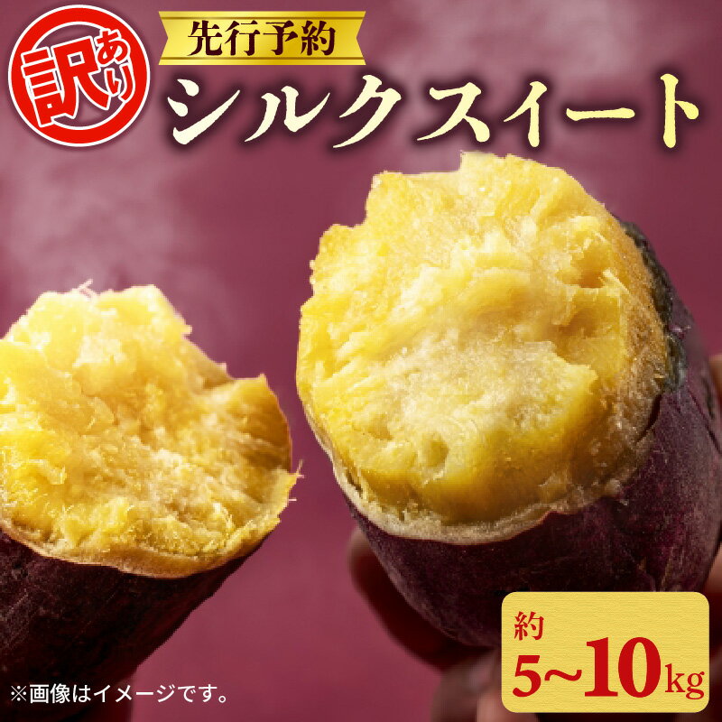 【ふるさと納税】 訳あり 先行予約 さつまいも シルクスイート 選べる 約 5kg 10kg 2025年 11月以降順次発送予定 土付き さつま芋 さつまイモ 野菜 産地直送 国産 千葉県産 旬 秋 いも サツマイモ 焼きいも スイートポテト スイーツ ふるさと納税 千葉県 旭市 向後メロン園