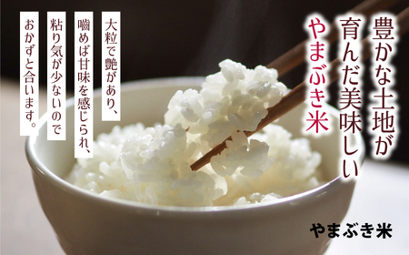 【令和5年度新米　定期便3回】やまぶき米(あきげしき)8kg