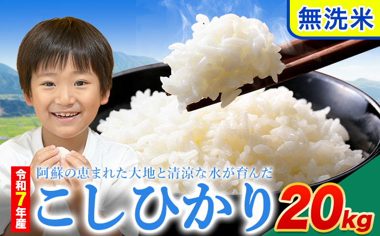 令和7年産 こしひかり 無洗米  20kg 精米 熊本県産(南阿蘇村産含む) 単一原料米 南阿蘇村《7-14日以内に出荷予定(土日祝除く)》---mna_kh7_wx_43000_20kg_m---