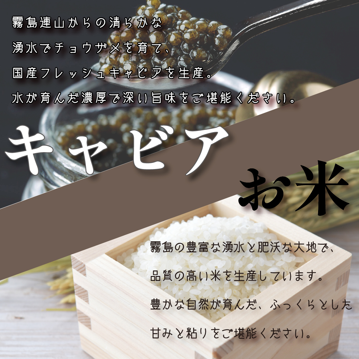 【定期便・全12回】日本一宮崎牛と小林市の魅力満載!!!!!小林大満足プレミアム定期便 100万円コース（国産 牛肉 国産牛 和牛 黒毛和牛 シャインマスカット マンゴー 完熟マンゴー フルーツ 果実