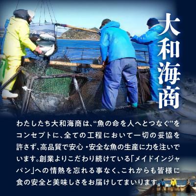 ふるさと納税 延岡市 【大和カンパチ】半身(フィレ)約1.0kg〜1.2kg×2枚(スキンレスロイン仕様)あら付 |  | 02