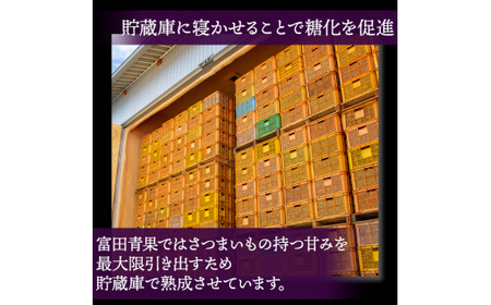 干し芋 紅はるか 1kg 干しいも 紅はるか ほしいも さつまいも 特産品 国産 富田青果 茨城 鉾田 おすすめ 人気 ギフト プレセント 送料無料 産地直送 旬 しっとり 美味しい 芋スイーツ 特産