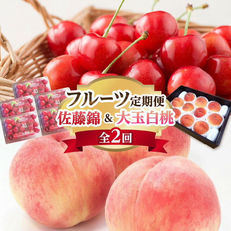【ふるさと納税】 《先行受付》 さくらんぼ&白桃 フルーツ定期便 【全2回】 さくらんぼ 白桃 フルーツ 果物 定期便