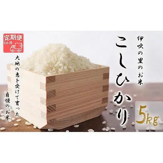 ≪令和8年産≫ ほたるの集う田んぼの米 こしひかり 6ヵ月定期便