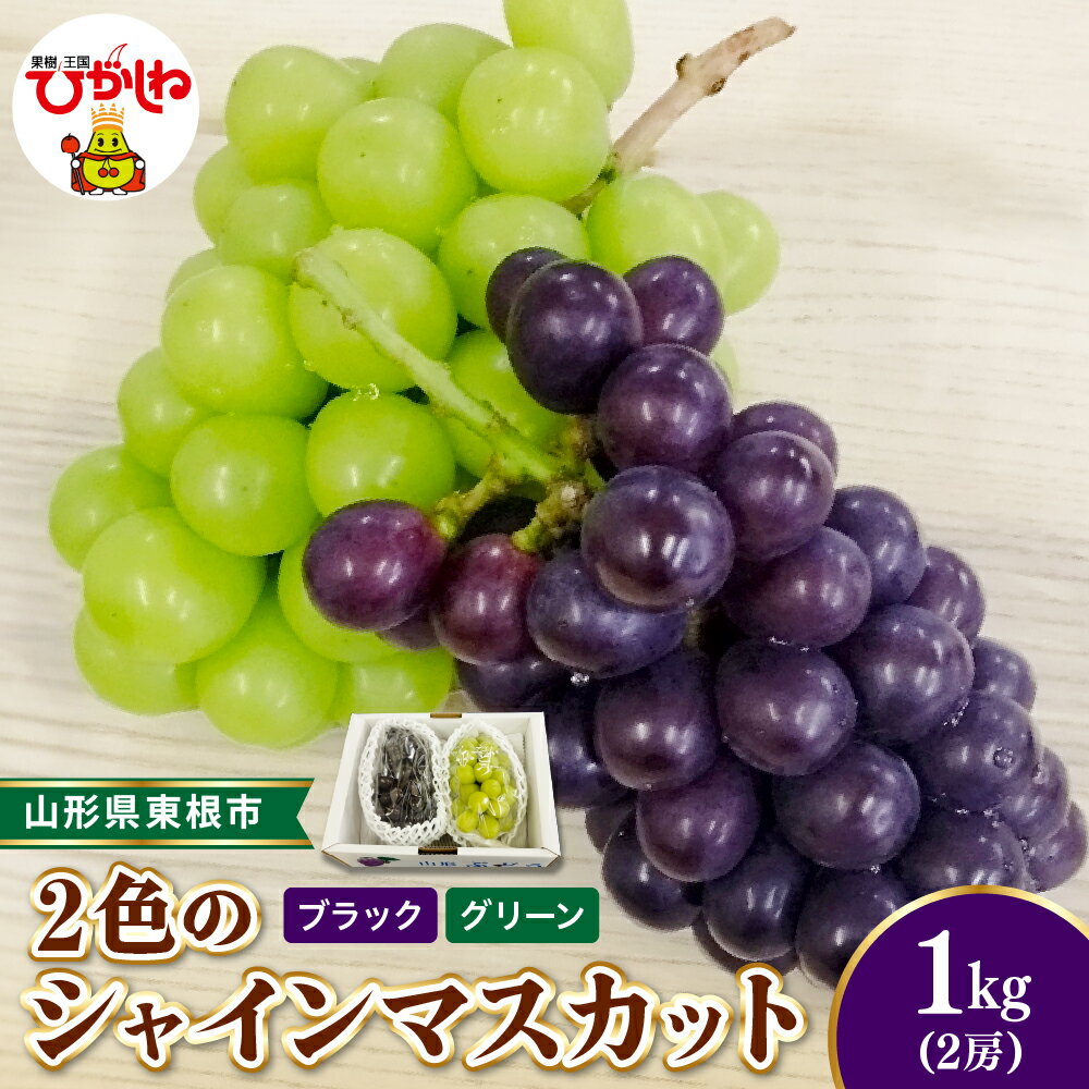 【ふるさと納税】2026年産 先行受付 シャインマスカット 2色 ブラック ＆ グリーン 秀品 計2房 ( 合計約 1kg )山形県産 | ぶどう マスカット ブラックシャインマスカット フルーツ 果物 くだもの 産地直送 期間限定 お取り寄せ グルメ 旬 東北 送料無料 山形県 東根市