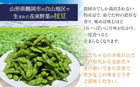 【令和6年 先行予約】本場白山産 濃厚だだちゃ豆【甘露(かんろ)】 3kg（500g×6袋） 農家 長四郎