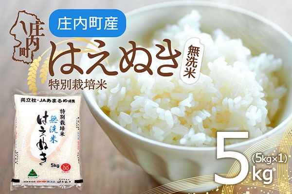 庄内町産 特別栽培米 はえぬき 無洗米 5kg 令和7年産 2025年産 余目産 余目町農協 あまるめ ブランド米 米 国産 単一原料米 山形 庄内平野 コシヒカリの原点、亀の尾発祥の地 庄内