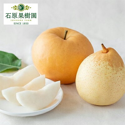 【ふるさと納税】梨 2025年 先行予約 備前横綱梨（あたご梨） 1玉( 1～1.4kg)・備前乙女梨（鴨梨） 2～3玉 詰合せ 合計約2.0kg 岡山県産 フルーツ ギフト 石原果樹園　お届け：2025年11月15日～2025年12月20日