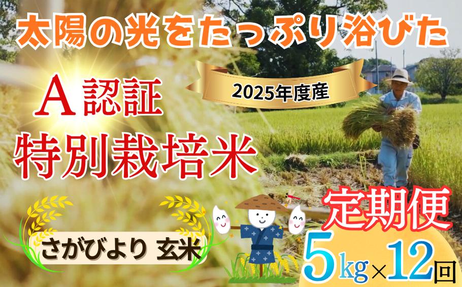 
                  【定期便】全12回 さがびより【玄米】佐賀県特別栽培農産物 A分類（化学合成農薬：不使用 化学肥料：不使用）5キロ｜九州 佐賀県吉野ケ里町産 種まきの会（大隈義昭さん＆秋山学さん）無垢米
                