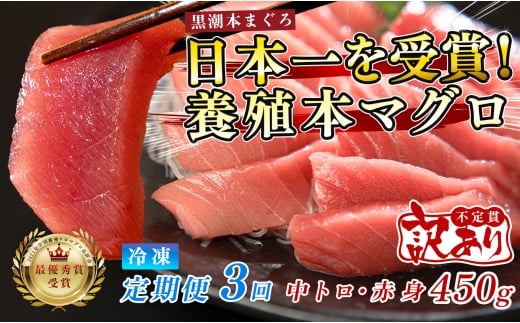 訳あり まぐろ マグロ 本鮪 黒潮本まぐろ 赤身 中トロ 定期便 3回 計450g × 3回 刺身 さしみ 最優秀賞 全国養殖クロマグロ品評会 受賞 魚 魚介類 海鮮 柵 サク 冷凍 お取り寄せ 産地直送 ギフト 贈答  高知県 大月町