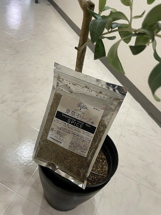 【ふるさと納税】東京オリーブスパイス詰め替え用（120g×1袋） 無添加