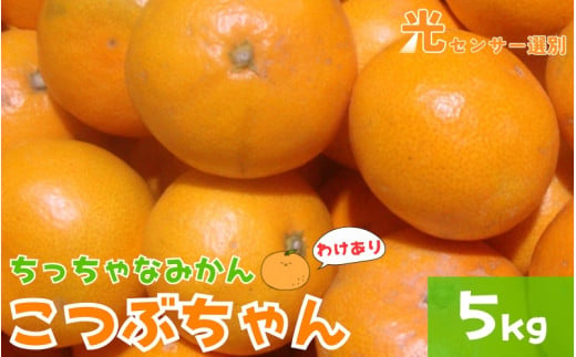 【訳あり】3S ちっちゃな有田みかん 5kg ※2024年11月中旬から順次発送予定（お届け日指定不可）※北海道・沖縄・離島への配送不可 訳ありみかん みかん ミカン 蜜柑 柑橘 フルーツ 果物 くだ