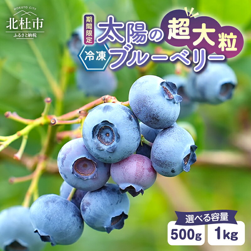 【ふるさと納税】 冷凍 ブルーベリー 超大粒 選べる容量 500g 1000g 無農薬 期間限定 数量限定 フルーツ くだもの 冷凍フルーツ 新鮮 ジュース ジャム お菓子 山梨県 北杜市 明野町 送料無料