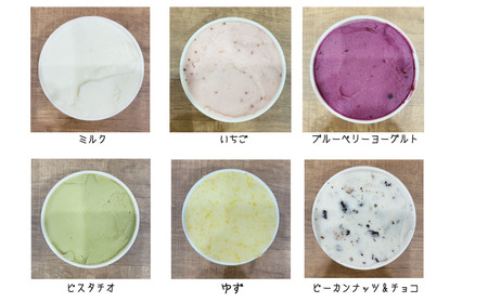 夢の樹ジェラート おまかせ 6個 セット 【 ジェラート アイス 手作り 食べ比べ 冷凍 人気 詰め合わせ ギフト 夢の樹マルシェ 木村屋 】