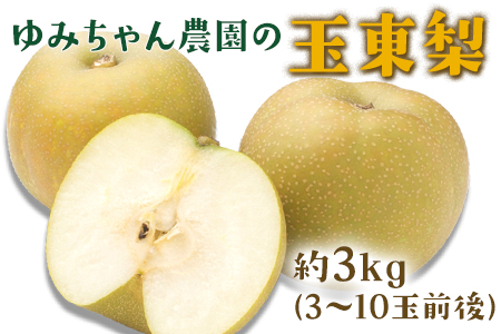 ゆみちゃん農園の玉東梨 約3kg(3～10玉前後)《8月下旬-10月上旬頃出荷》 熊本県玉名郡玉東町 ｜梨梨梨梨梨梨梨梨梨梨梨梨梨梨梨梨梨梨梨梨梨梨梨梨梨梨梨梨梨梨梨梨梨梨梨梨梨梨梨梨梨梨梨梨梨梨梨梨梨梨梨梨梨梨梨梨梨梨梨梨梨梨梨梨梨梨梨梨梨梨梨梨梨梨梨梨梨梨梨梨梨梨梨梨梨梨梨梨梨梨梨梨梨梨梨梨梨梨梨梨梨梨梨梨梨梨梨梨梨梨梨梨梨梨梨梨梨梨梨梨梨梨梨梨梨梨梨梨梨梨梨梨梨梨梨梨梨梨梨梨梨梨梨梨梨梨梨梨梨梨梨梨梨梨梨梨梨梨梨梨梨梨梨梨梨梨梨梨梨梨梨梨梨梨梨梨梨梨梨梨梨梨梨梨梨梨梨梨梨梨梨梨梨梨梨梨梨梨梨梨梨梨梨梨