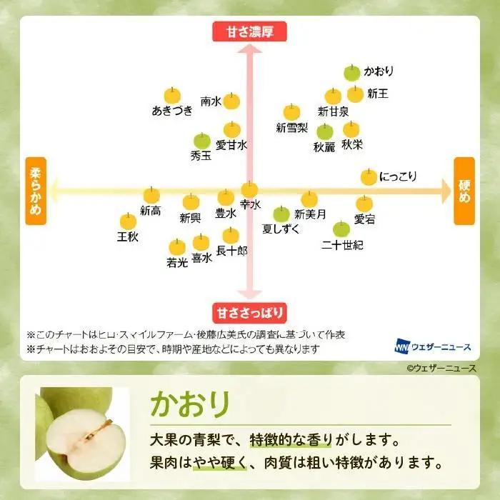 【かおり3kg】かまがやの梨