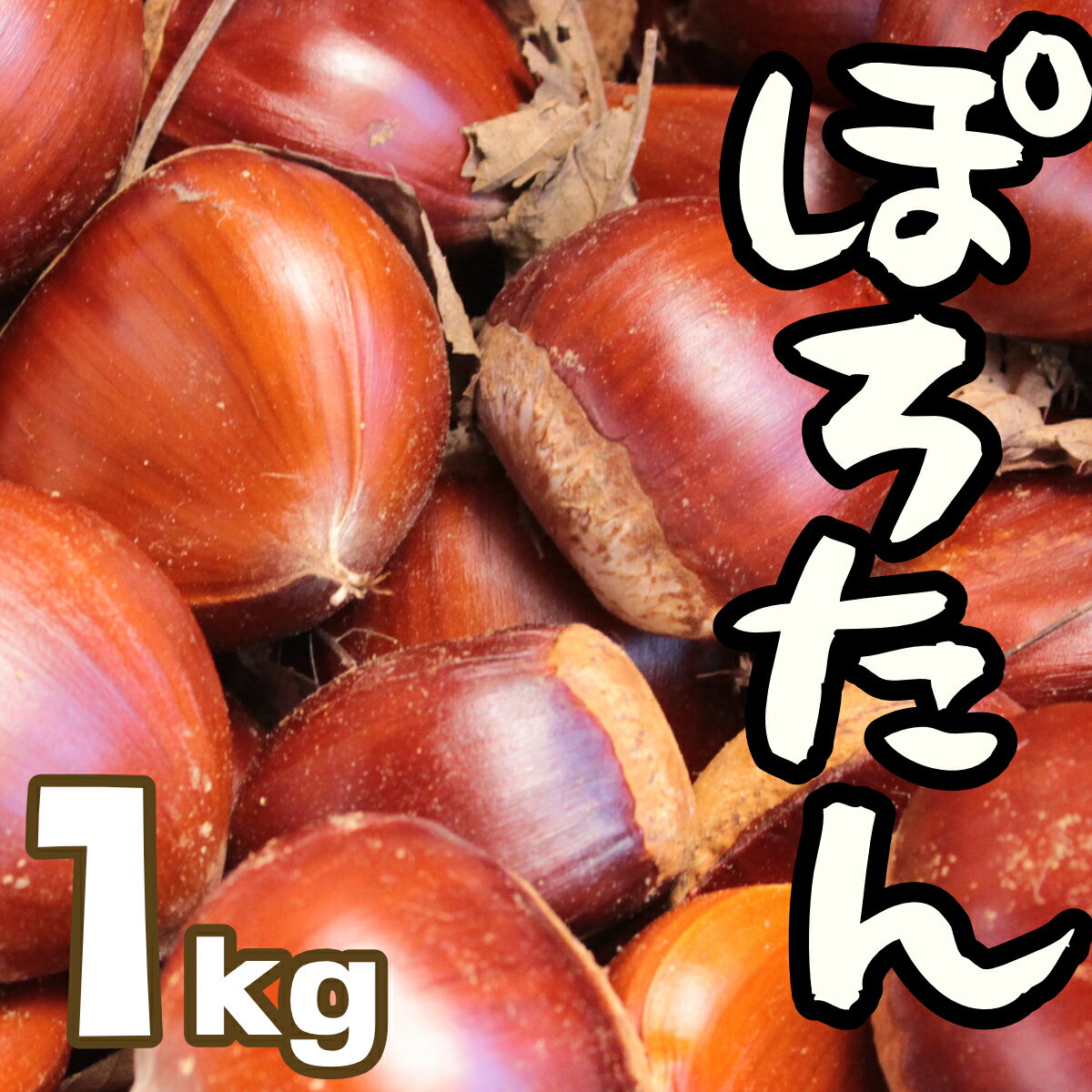 【ふるさと納税】先行予約【2025年10月中旬以降発送】低温熟成栗　ぽろたん　大きな栗