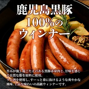 ＜定期便・全3回＞《業務用・訳あり》鹿児島県産黒豚荒挽きウィンナー(総計5.4kg・900g×2P×3回) 国産 九州産 黒豚 豚肉 ウインナー ソーセージ フランクフルト 惣菜 おかず 弁当 BBQ