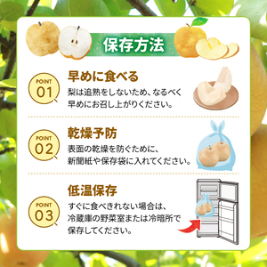 梨 5kg 新高 | 梨 IDG