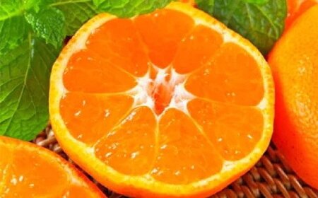 農園直送！完熟有田みかん 約5kg+200g サイズ混合【2026年11月中旬～11月下旬頃に順次発送予定】【AA90175-ard003D-11】