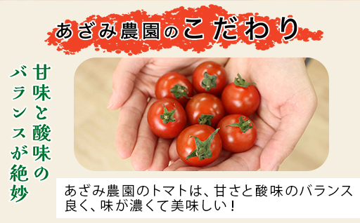 【10】ミニトマトジュース（有塩） ミニトマトジャム