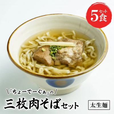 ふるさと納税 西原町 〈太生麺〉ちょーでーぐぁ 沖縄そば(三枚肉)5食セット