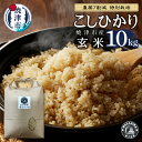 【ふるさと納税】 米 玄米 コシヒカリ 10kg (5kg×2袋) 農薬7割減 特別栽培 安心 安全 ごはん 焼津 a33-020