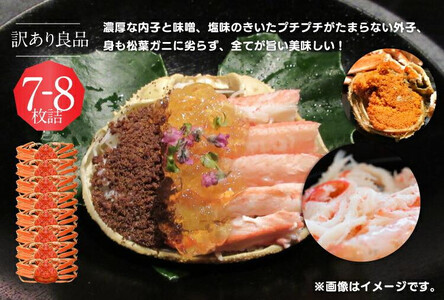 ＜10/1～寄附額改定＞【ボイル】鳥取県産セコガニ 訳あり 良品7~8枚詰※2025/11/6～2025/12/25に順次発送予定※着日指定不可  離島不可（北海道、沖縄本島は配送可能）