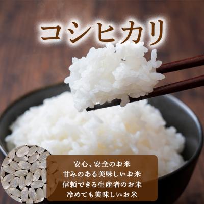 ふるさと納税 倉吉市 ※3月配送分【令和7産米】倉吉市産 コシヒカリ 10kg(5kg×2袋) 31G002_03 |  | 01