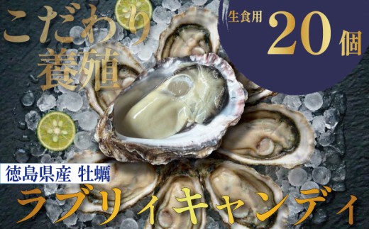 【先行予約】 牡蠣 生牡蠣 殻付き 20個 生食可 冷蔵 (ナイフ付き)ラブリィキャンディ 真牡蠣 かき カキ ブランド 旬 新鮮 海鮮 濃厚 料理 鍋 牡蠣鍋 カキフライ バーベキュー BBQ キャンプ おいしい TV テレビ 徳島県 鳴門市