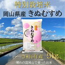 【ふるさと納税】【お米　特別栽培米　特Aランク】岡山県産「きぬむすめ」5kg（令和6年産）SS-128