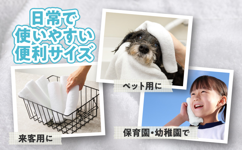おしぼりタオル 12枚 ホワイト【泉州タオル 国産 吸水 普段使い シンプル 日用品 家族 ファミリー】